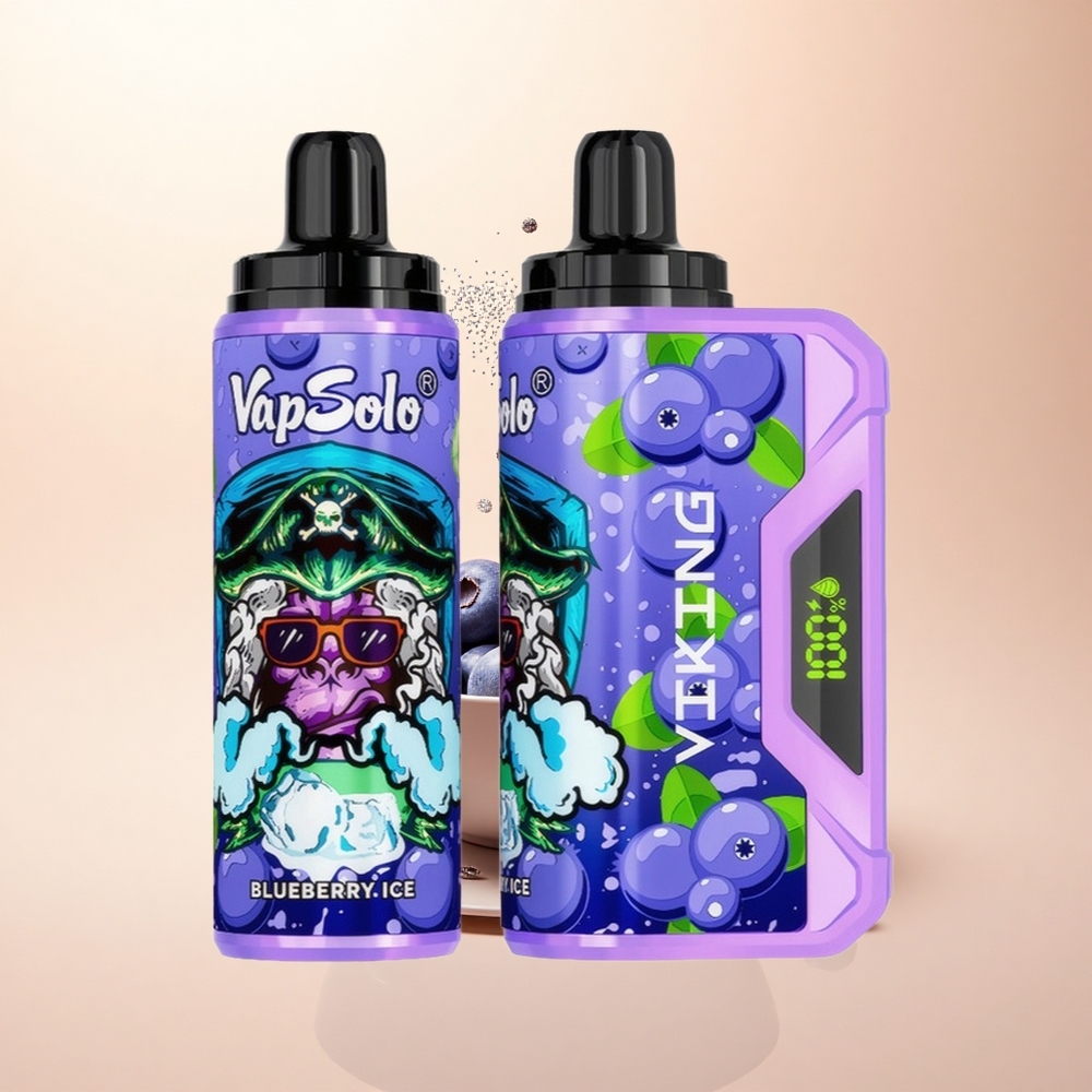 VapSolo VIKING 12000 Puffs Borówka Typ-C 22ml